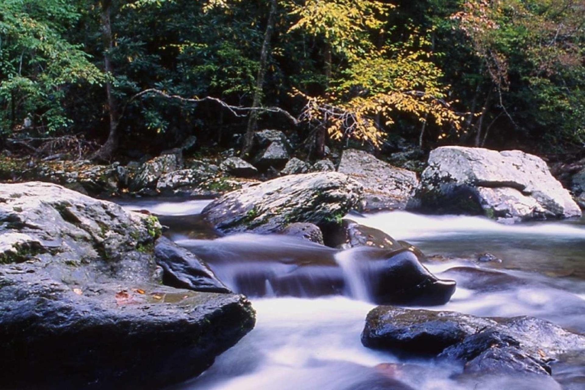 Hidden Hollow พิเจนฟอร์จ ภายนอก รูปภาพ